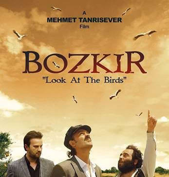 Посмотри на птиц