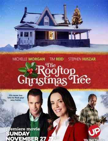 Ёлка на крыше