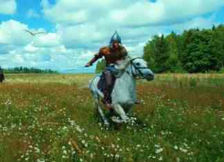 Disney и Yellow, Black and White готовят продолжение «Последнего богатыря»