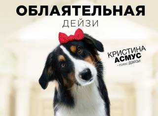 Гарик Харламов и Кристина Асмус заговорят по-собачьи