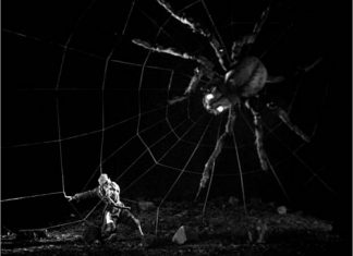 «Василиса Прекрасная» продолжит ретроспективу Александра Роу