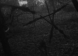 «Ведьма из Блэр» восстанет из пепла